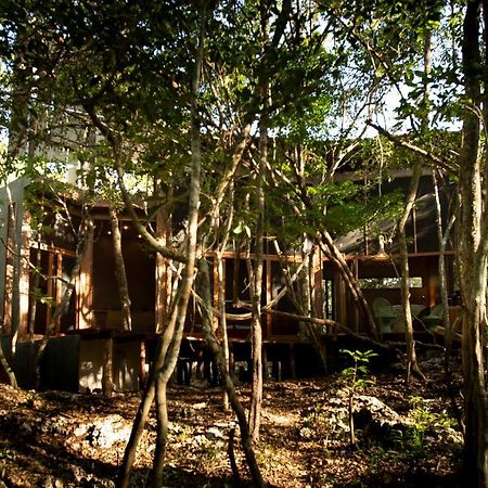 Ojo De Arbol, Boutique Cabin In The Real Jungle トゥルム エクステリア 写真