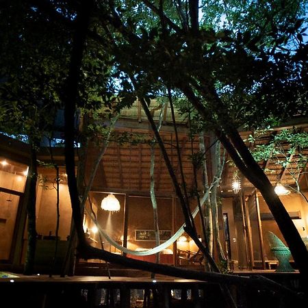 Ojo De Arbol, Boutique Cabin In The Real Jungle トゥルム エクステリア 写真