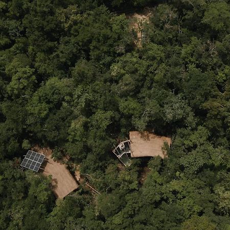 Ojo De Arbol, Boutique Cabin In The Real Jungle トゥルム エクステリア 写真