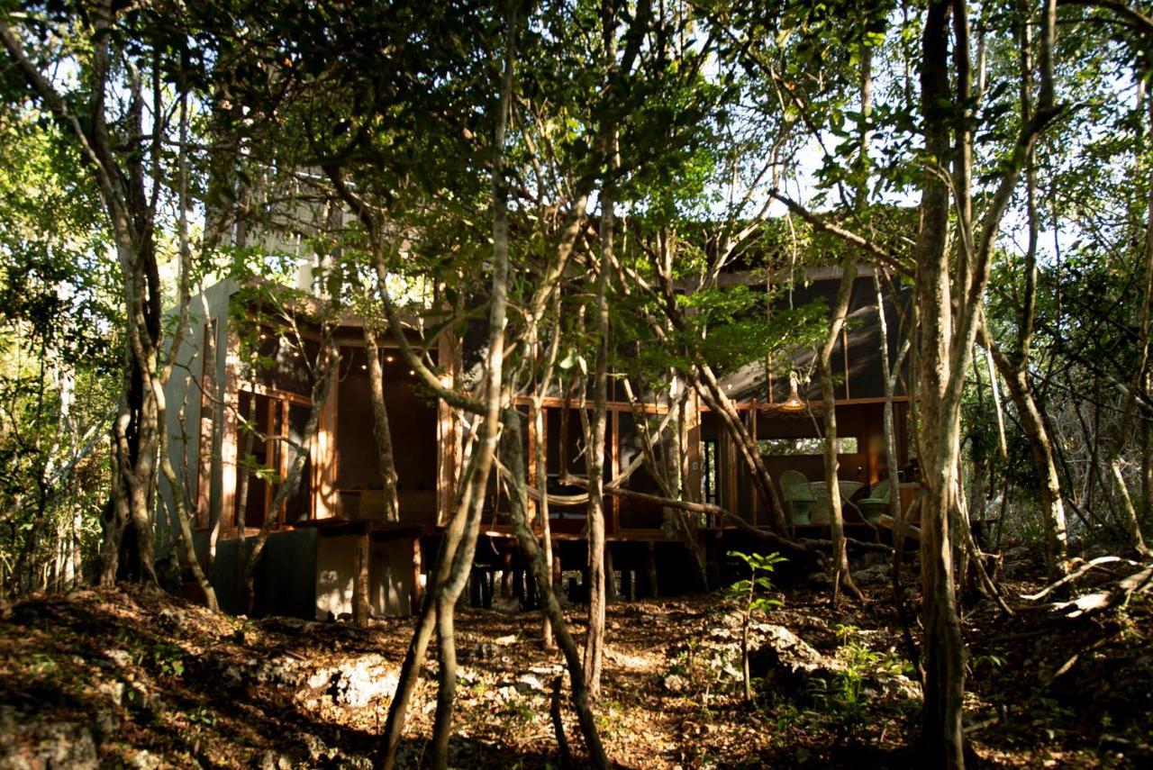 Ojo De Arbol, Boutique Cabin In The Real Jungle トゥルム エクステリア 写真