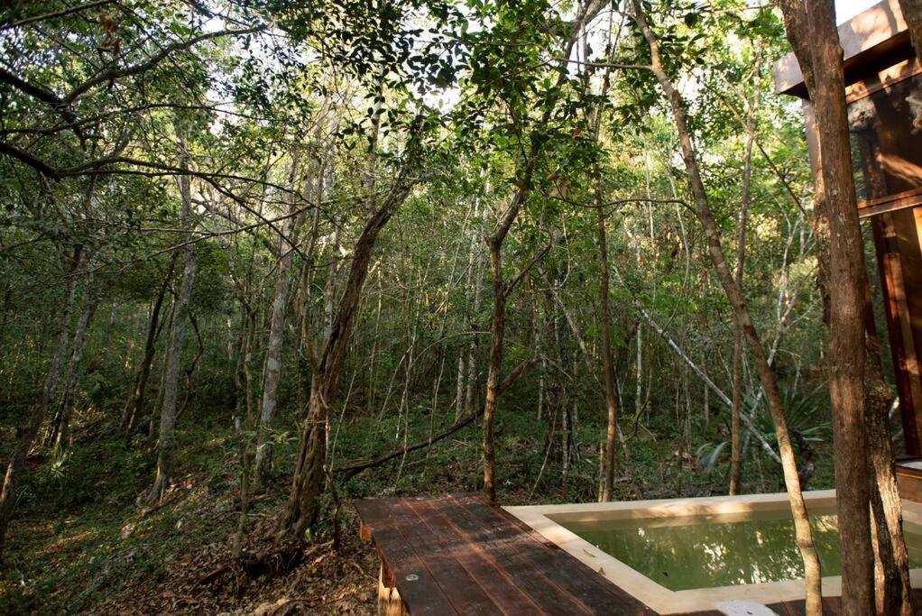 Ojo De Arbol, Boutique Cabin In The Real Jungle トゥルム エクステリア 写真