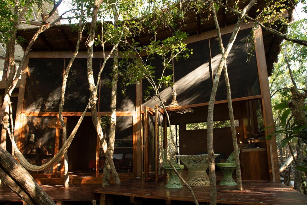 Ojo De Arbol, Boutique Cabin In The Real Jungle トゥルム エクステリア 写真