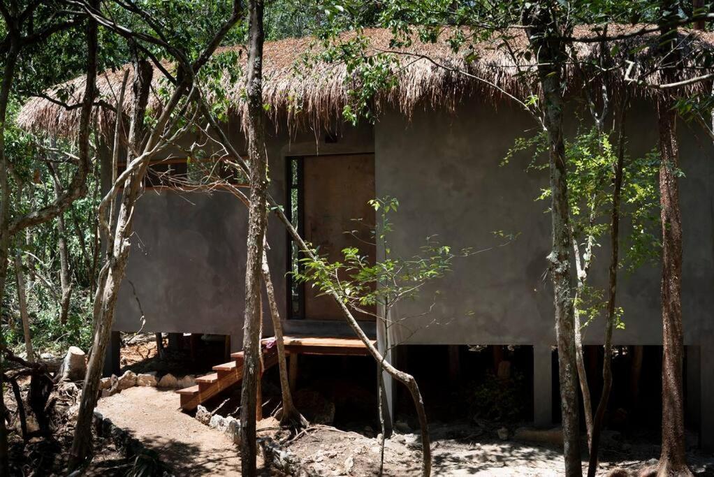 Ojo De Arbol, Boutique Cabin In The Real Jungle トゥルム エクステリア 写真