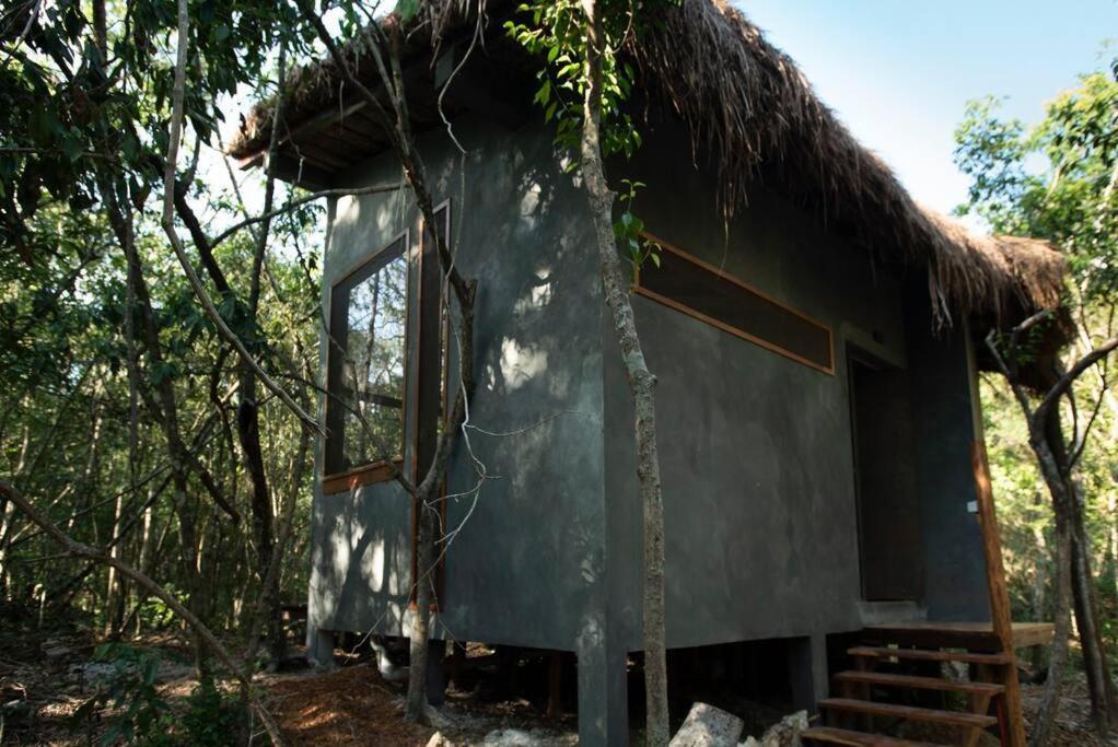 Ojo De Arbol, Boutique Cabin In The Real Jungle トゥルム エクステリア 写真