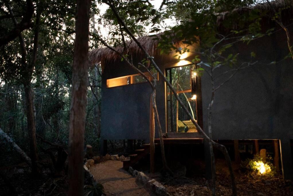 Ojo De Arbol, Boutique Cabin In The Real Jungle トゥルム エクステリア 写真