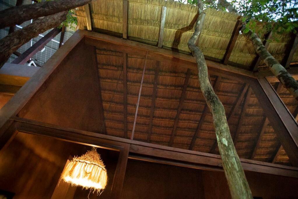 Ojo De Arbol, Boutique Cabin In The Real Jungle トゥルム エクステリア 写真