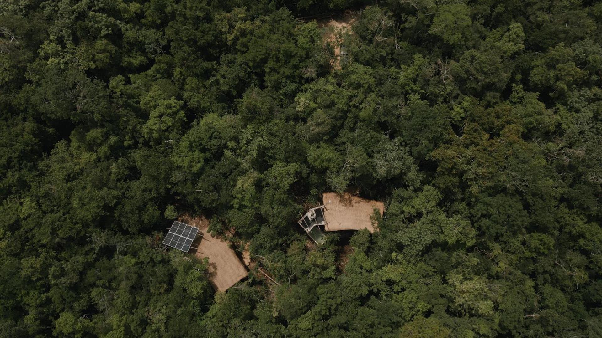 Ojo De Arbol, Boutique Cabin In The Real Jungle トゥルム エクステリア 写真